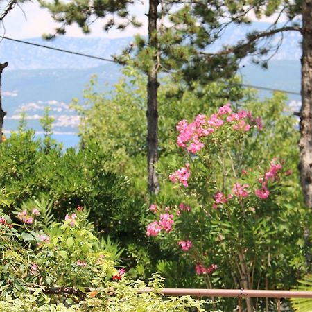 Apartments Grskovic G. Jesenovica Šilo Kültér fotó